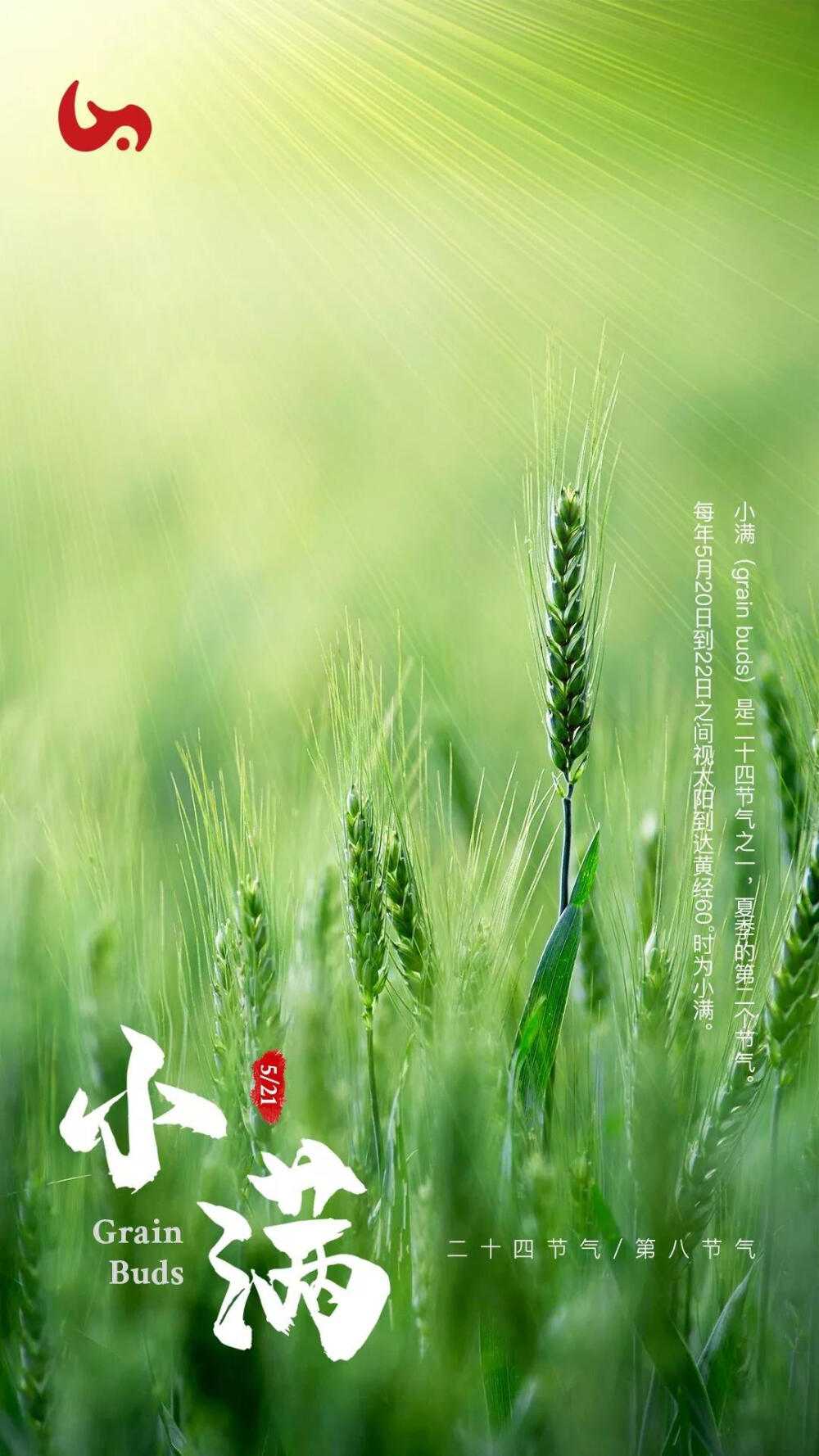 犀牛奖小满海报