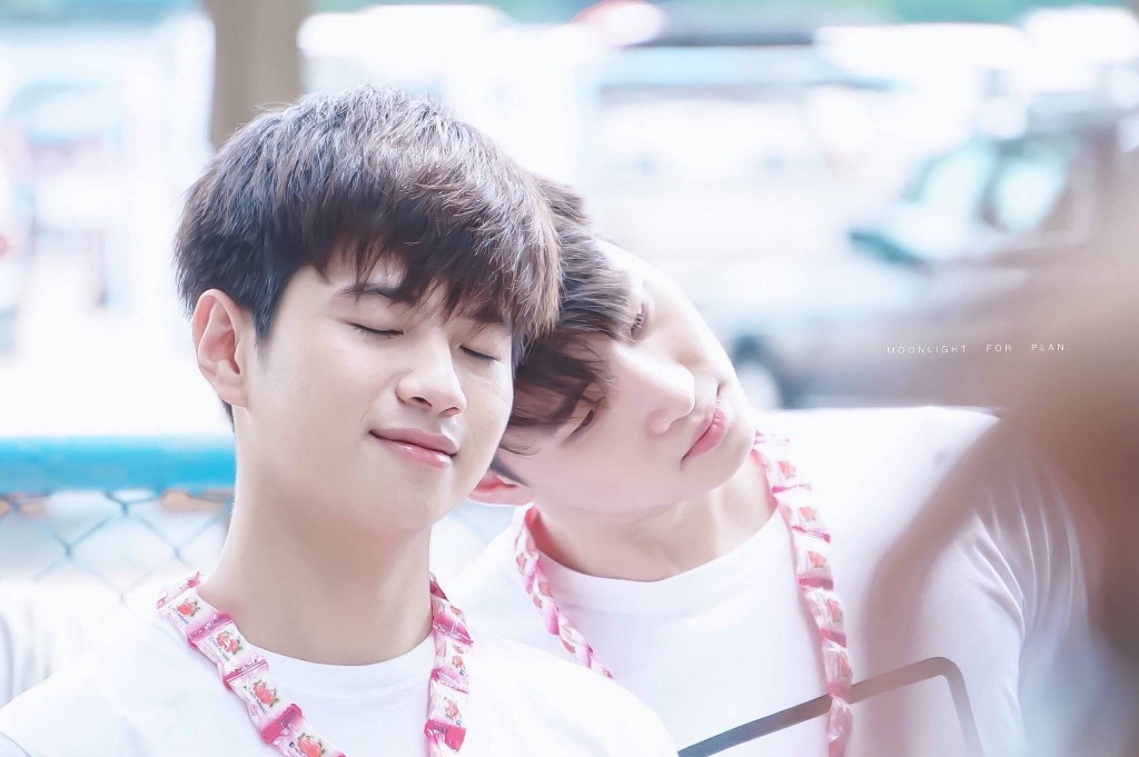 2wish - 堆糖,美图壁纸兴趣社区