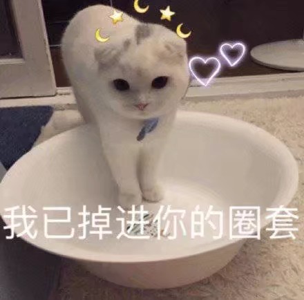 小可爱表情包