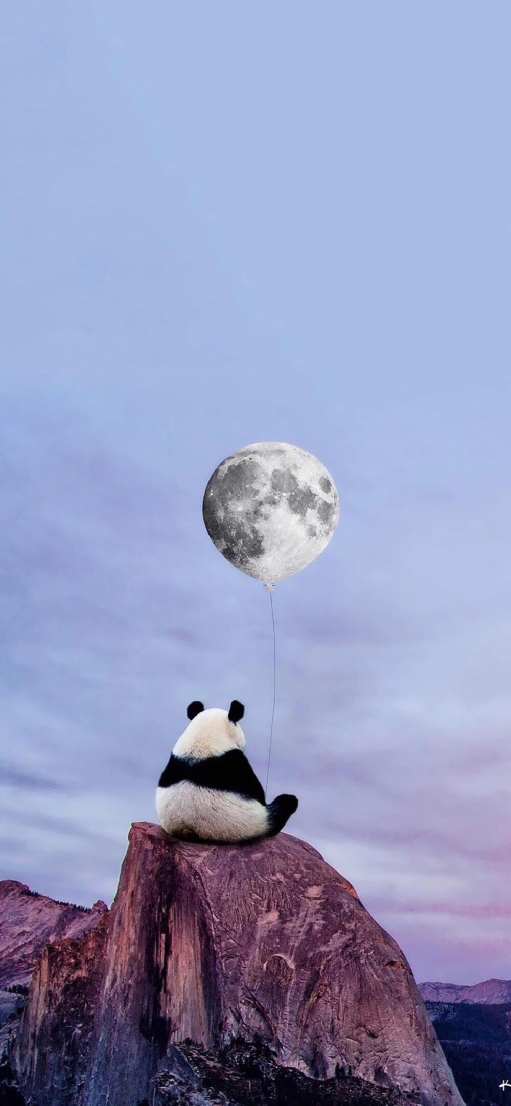 熊猫- 堆糖,美图壁纸兴趣社区