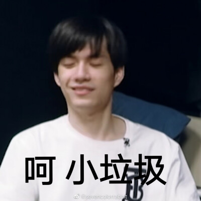 张颜齐哈哈哈哈哈哈