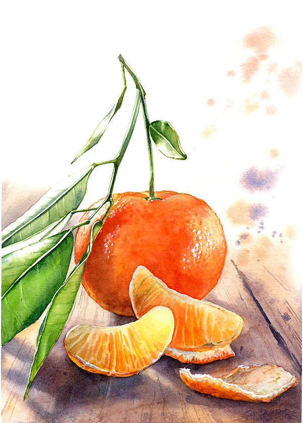 写实水果水彩插画草莓橘子