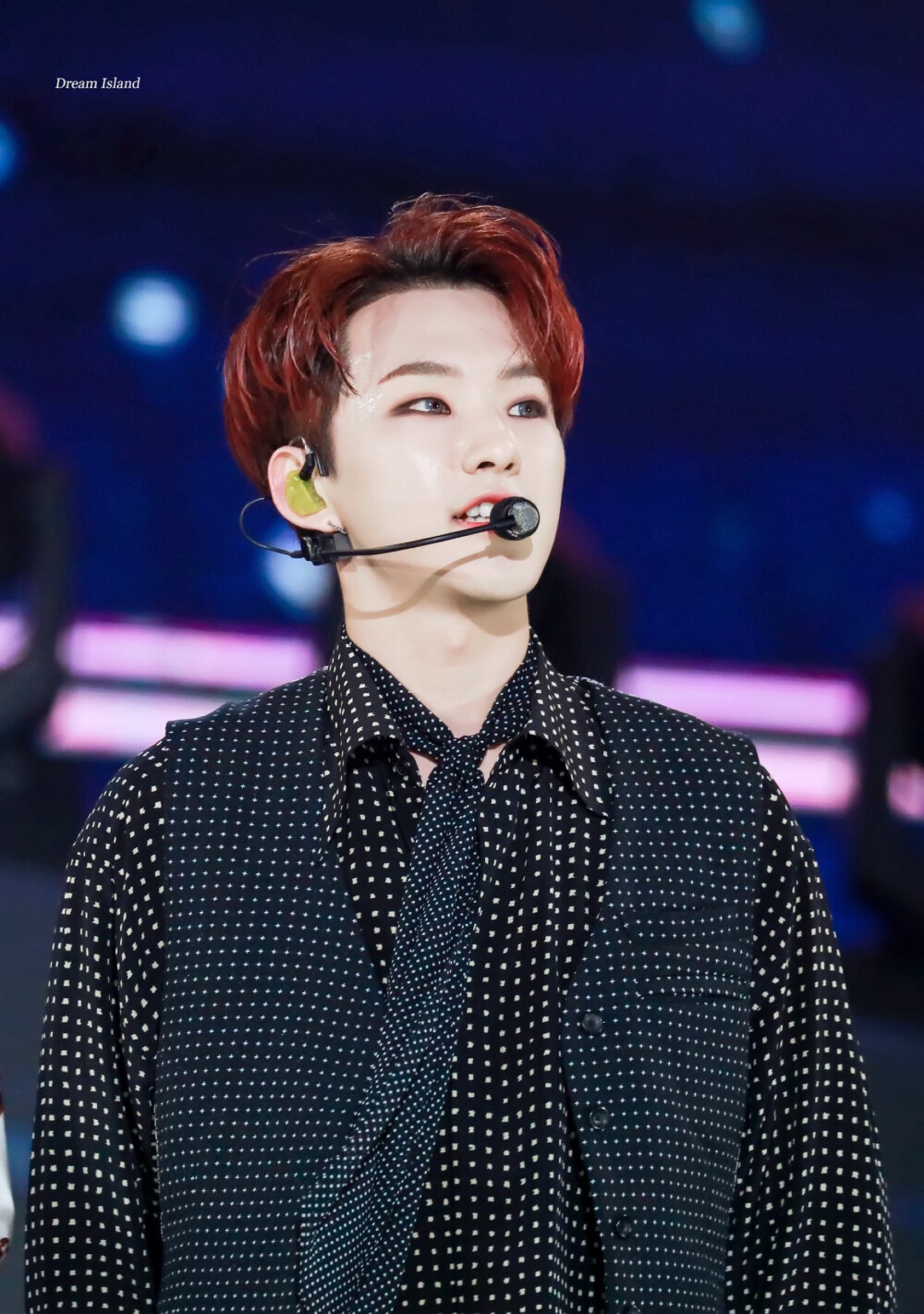 seventeenhoshi权顺荣