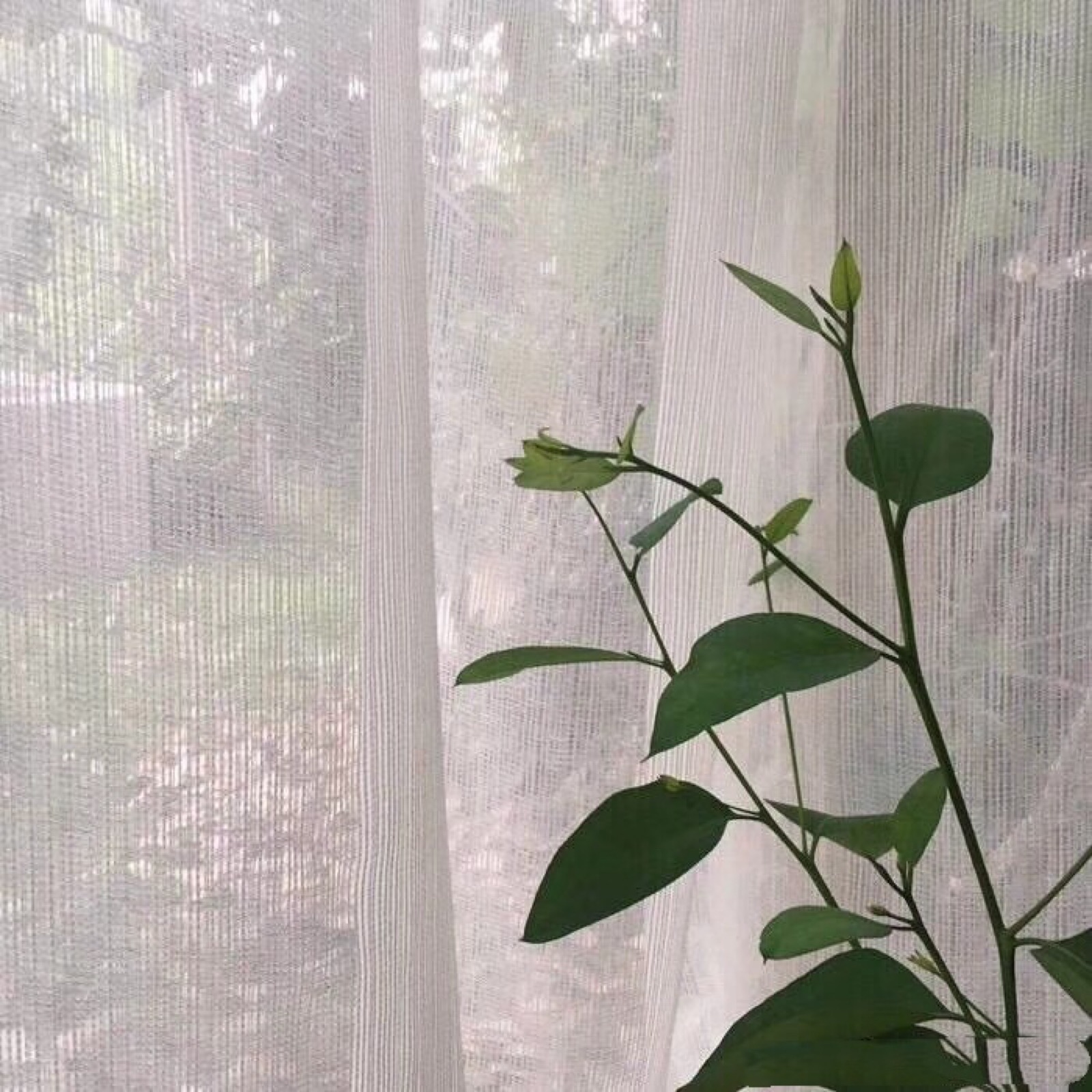 一波ins风背景图素材