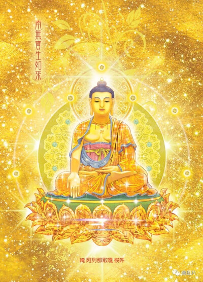 南无阿弥陀佛