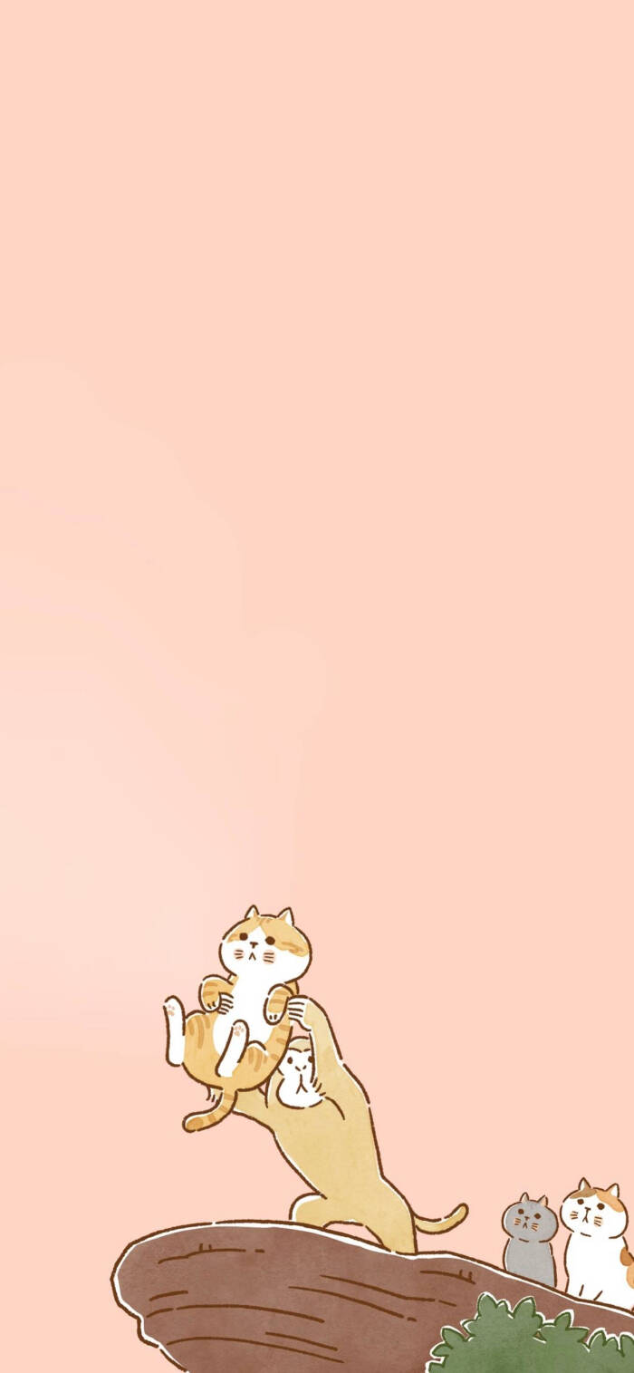 可爱猫咪壁纸插画师:jo tae gyum