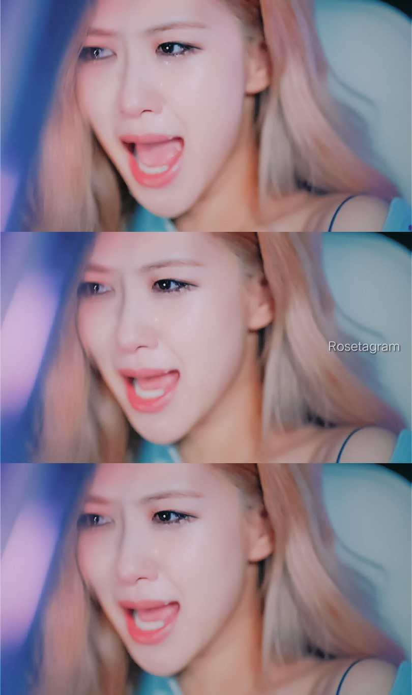 朴彩英rose
