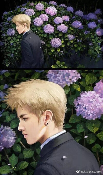 卡通男明星