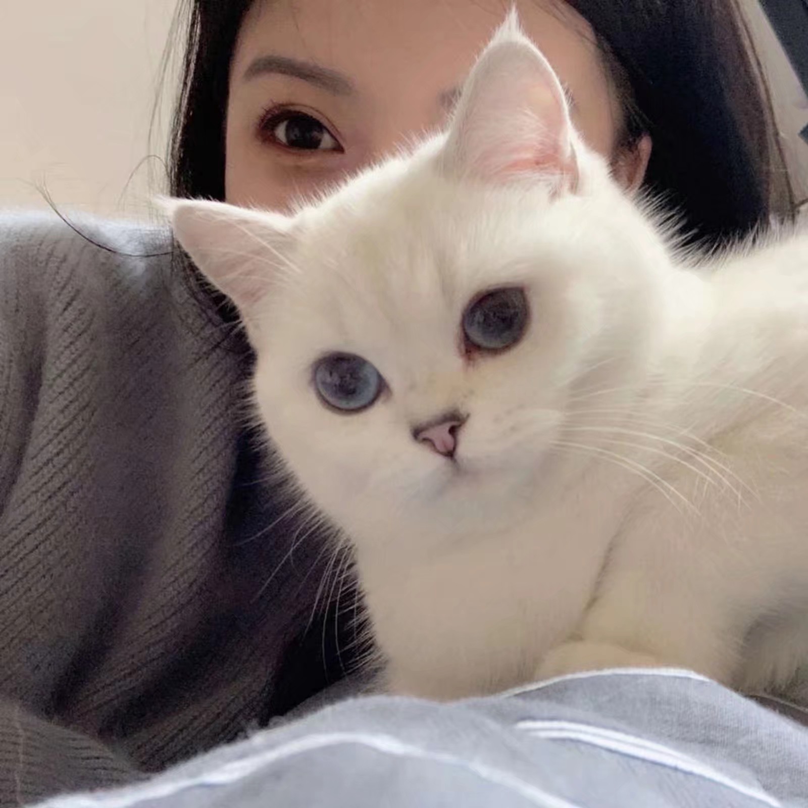 猫咪女生头像合照图片