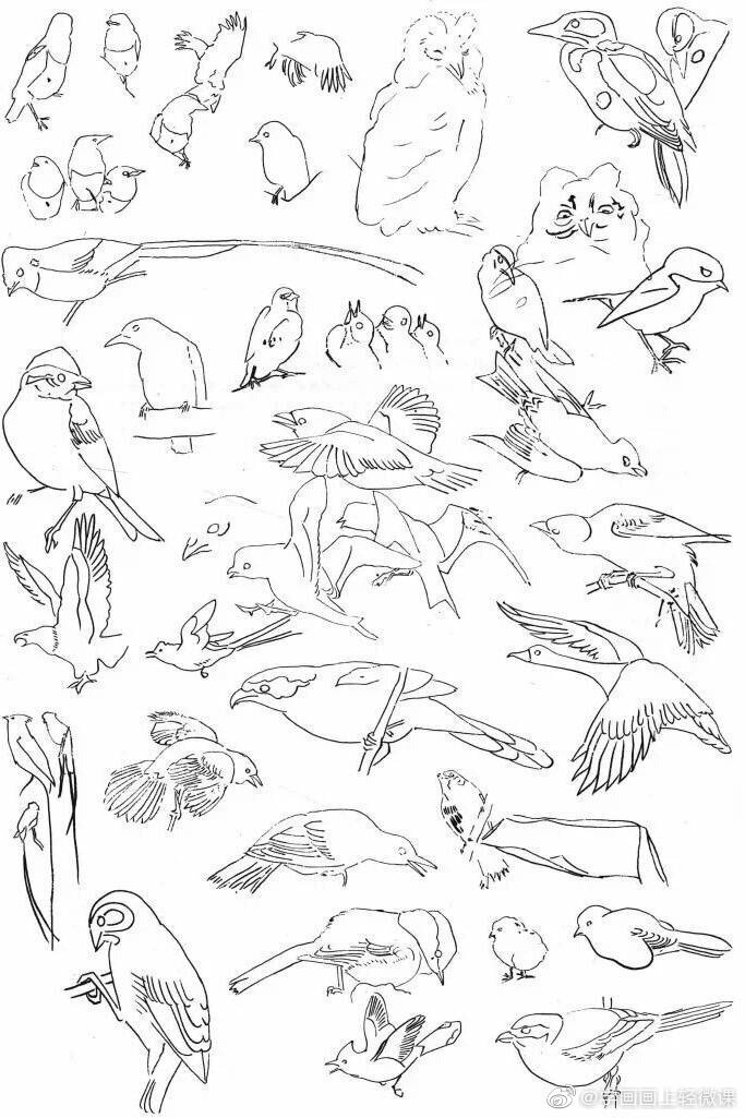 123鸟的画法图片