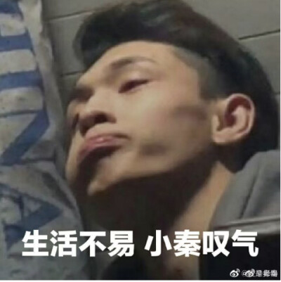 秦霄贤情头
