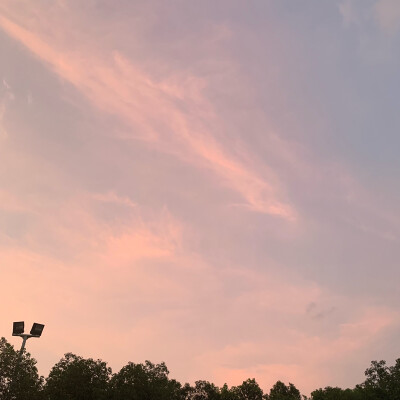 向日葵朋友圈背景图片