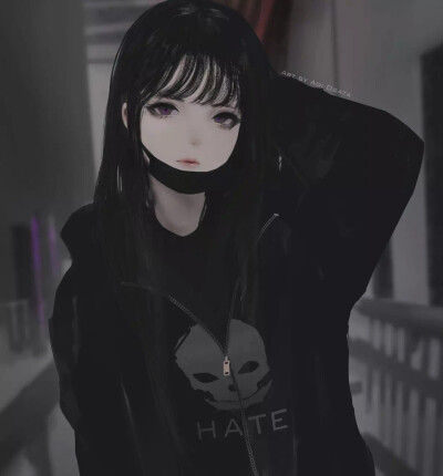 插图美图