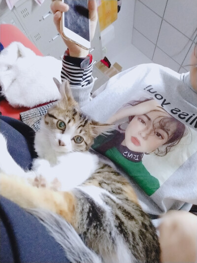 多多猫