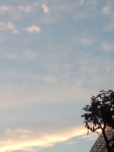 实拍,可以用来当背景图