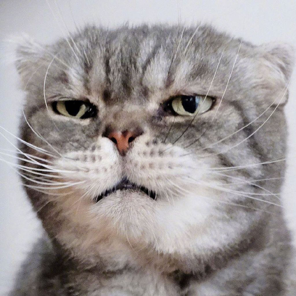 来自喵酱の眼神杀九连拍 ins:nao_co5