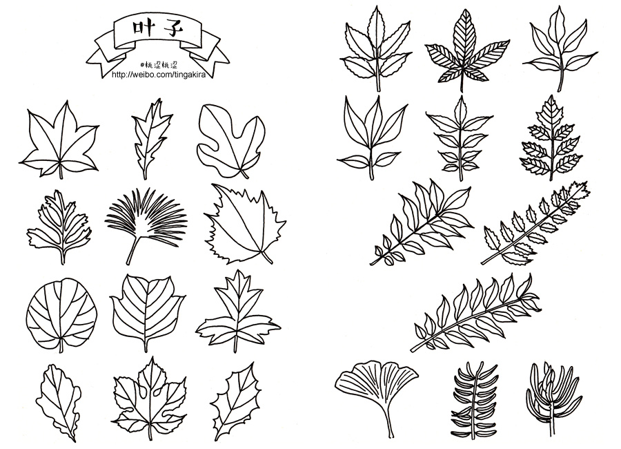 画了些"园艺·植物"类素材,可以在手帐里用.