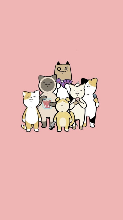 猫咪壁纸