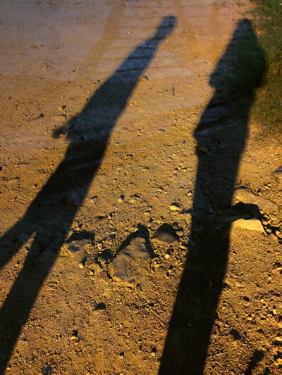 夜晚情侣走路影子图片图片