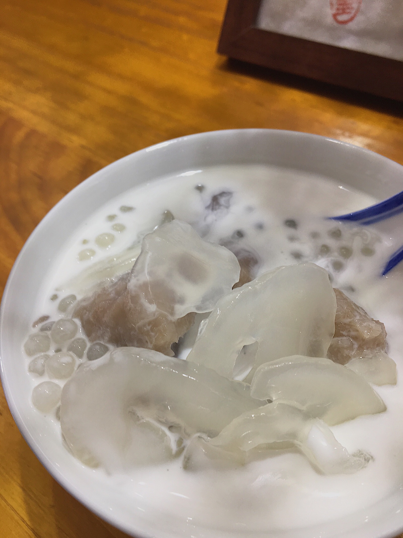 海底椰 