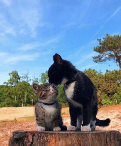 真美好的瞬间我又相信爱情了!