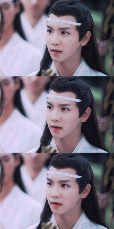 蓝思追陈情令 郑繁星