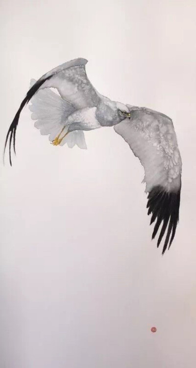 水彩所描绘的一组鸟类绘画激发出了他对材料和技法不可预知性的探索