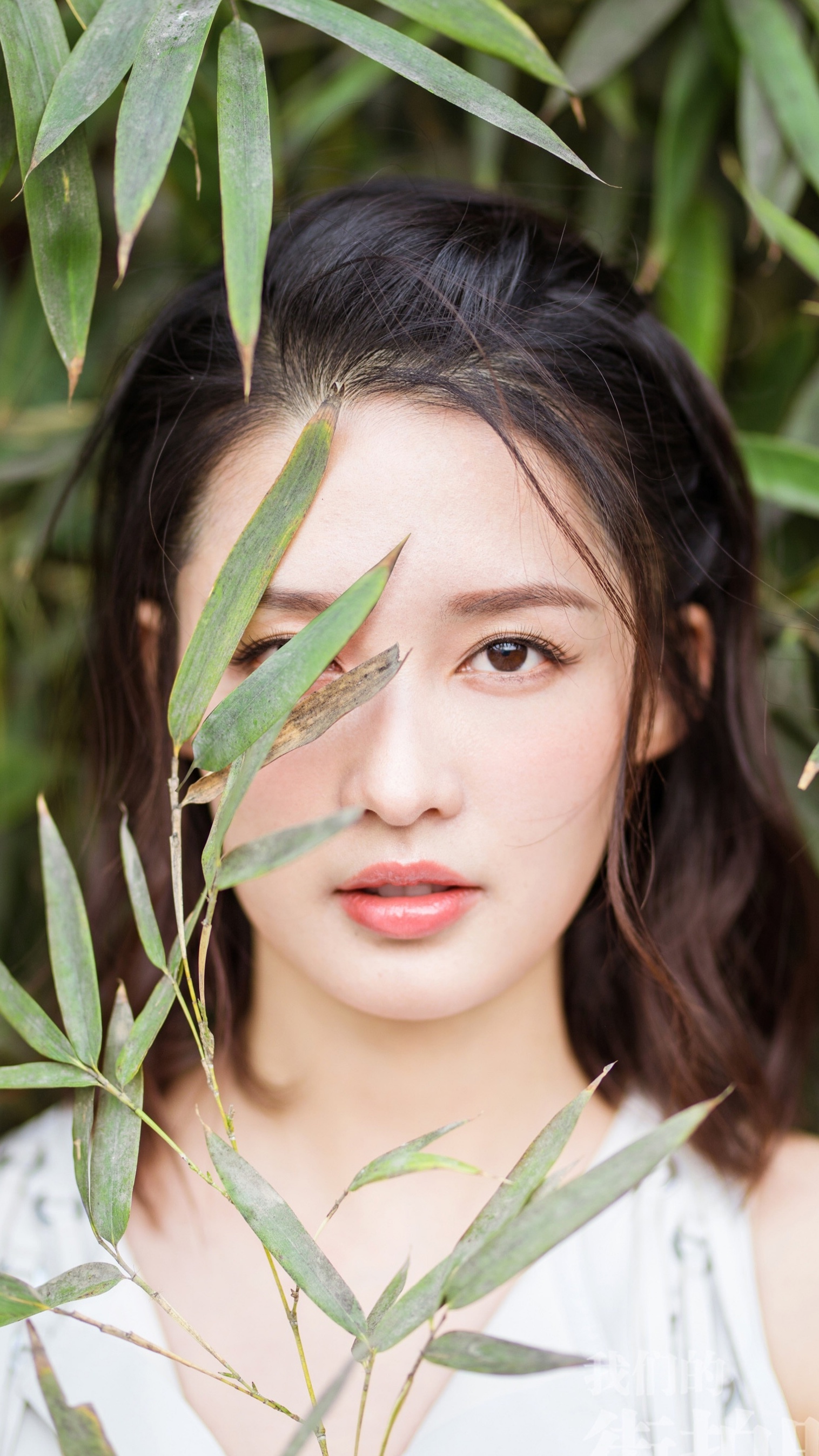 李沁- 堆糖,美图壁纸兴趣社区