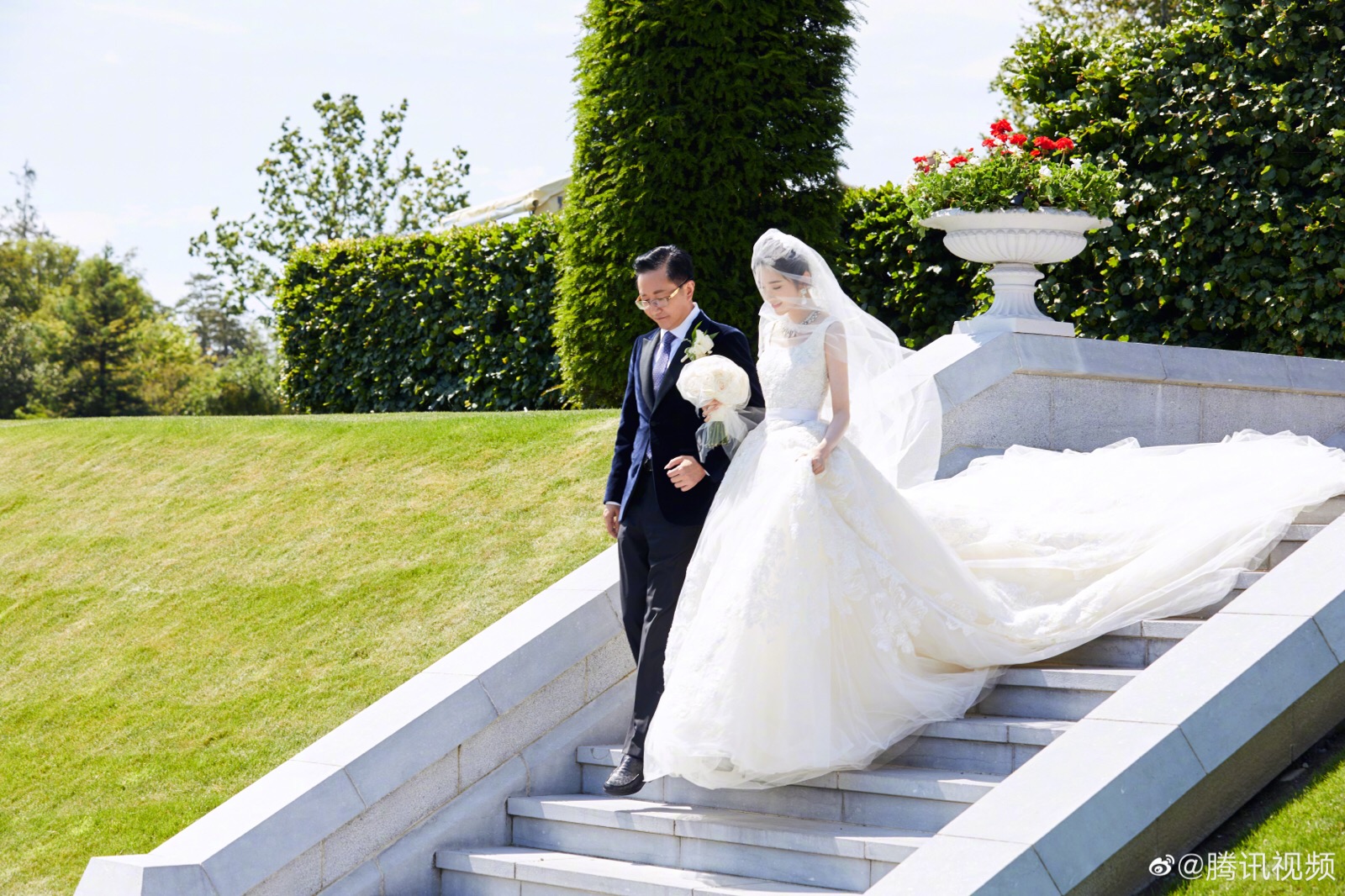 张若昀爱尔兰结婚图片