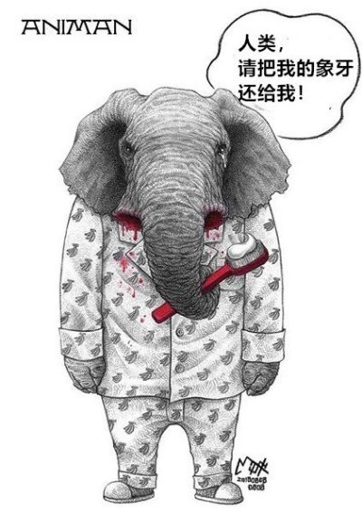 停止捕杀野生动物,保护环境,从我做起.ins:milkdongcomics