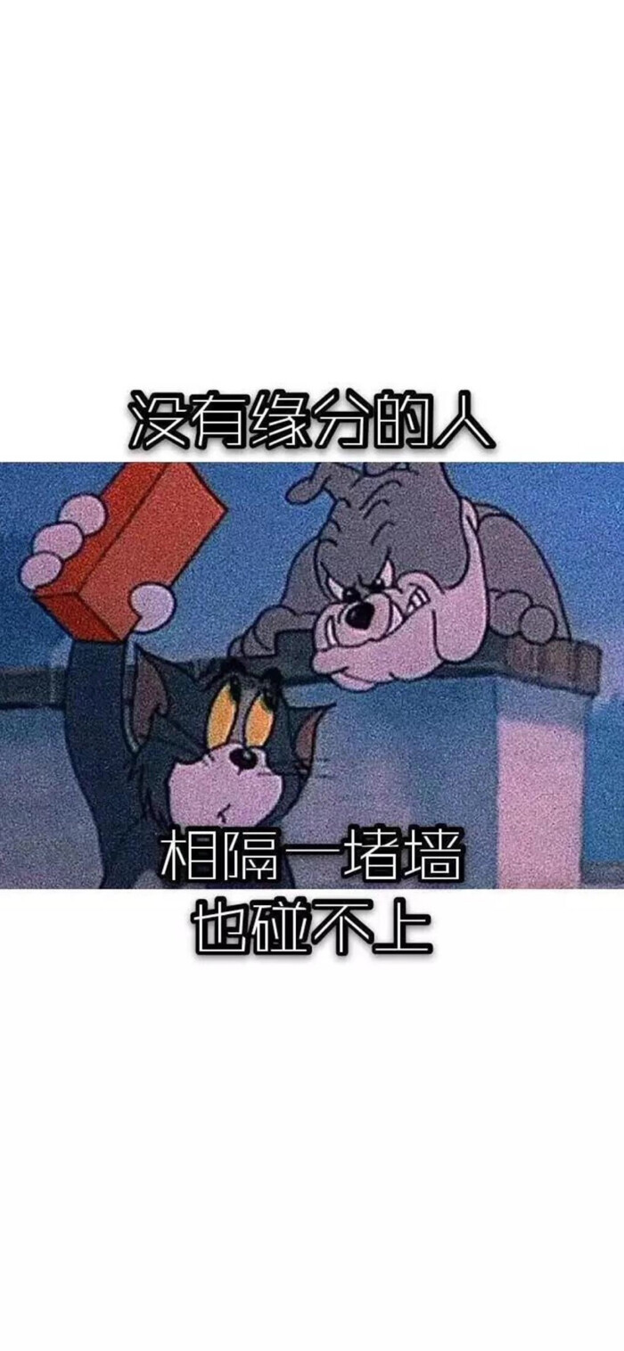 挺一挺就过去了 图片图片