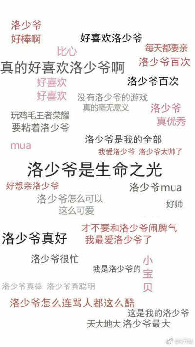 洛少爷
