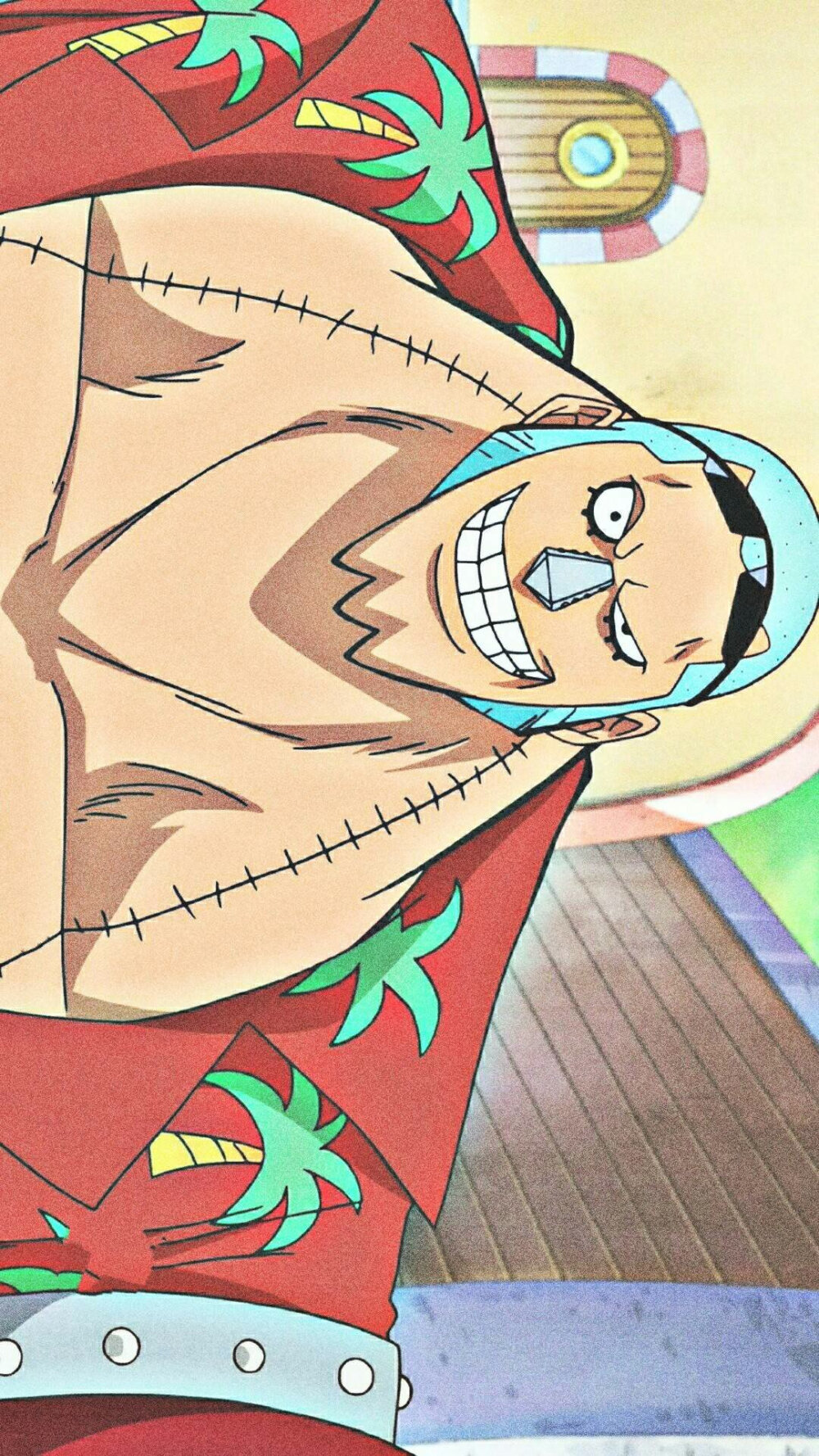 草帽一伙弗兰奇