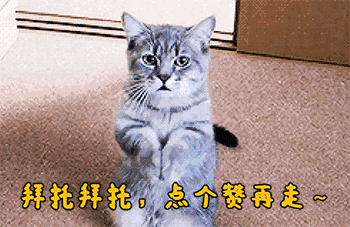 卧槽,这才叫真正的绝望,感觉好委屈