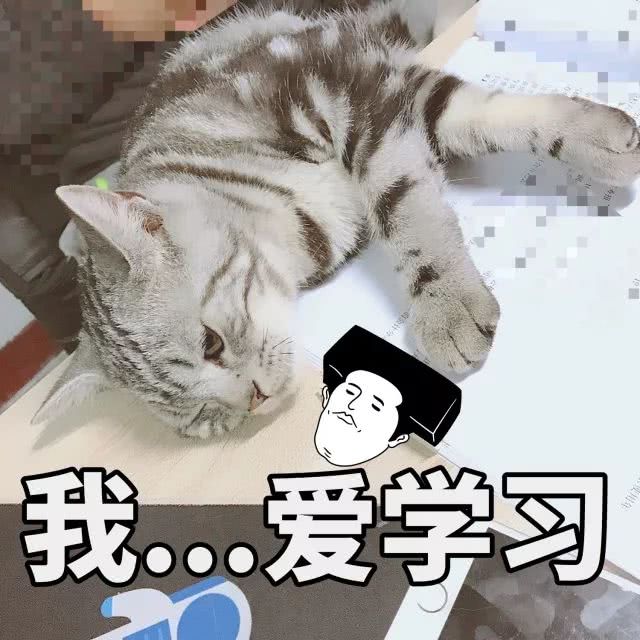 迷人的我又出现啦