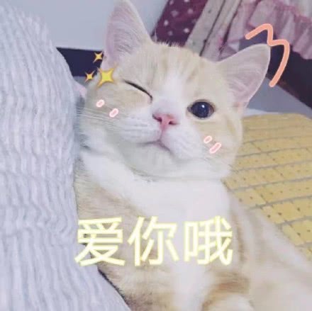 迷人的我又出现啦