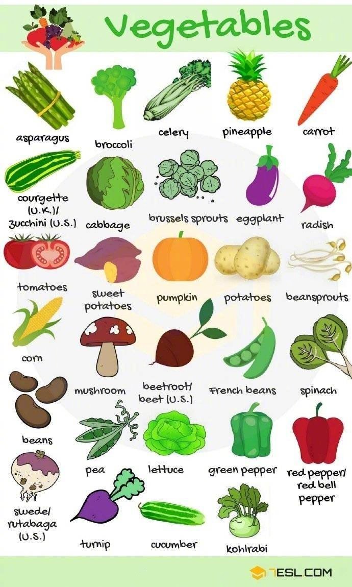 蔬菜英文名称大全图片图片