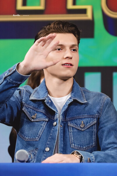 tomholland 荷兰弟