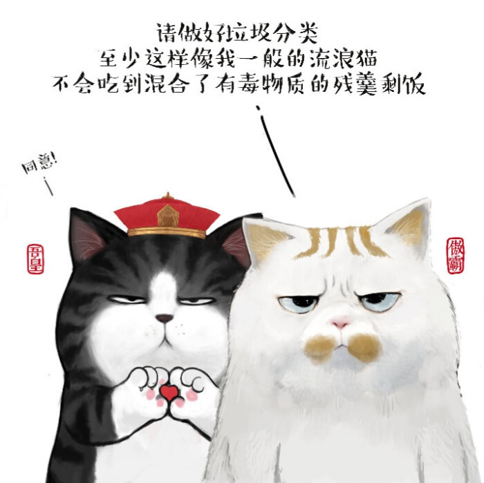 吾皇巴扎黑 垃圾分类