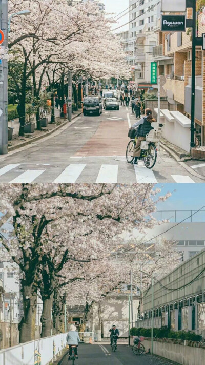 qq背景图 清新图片