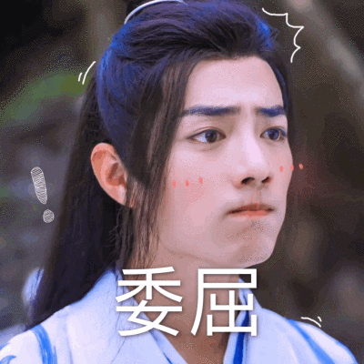 肖战表情包