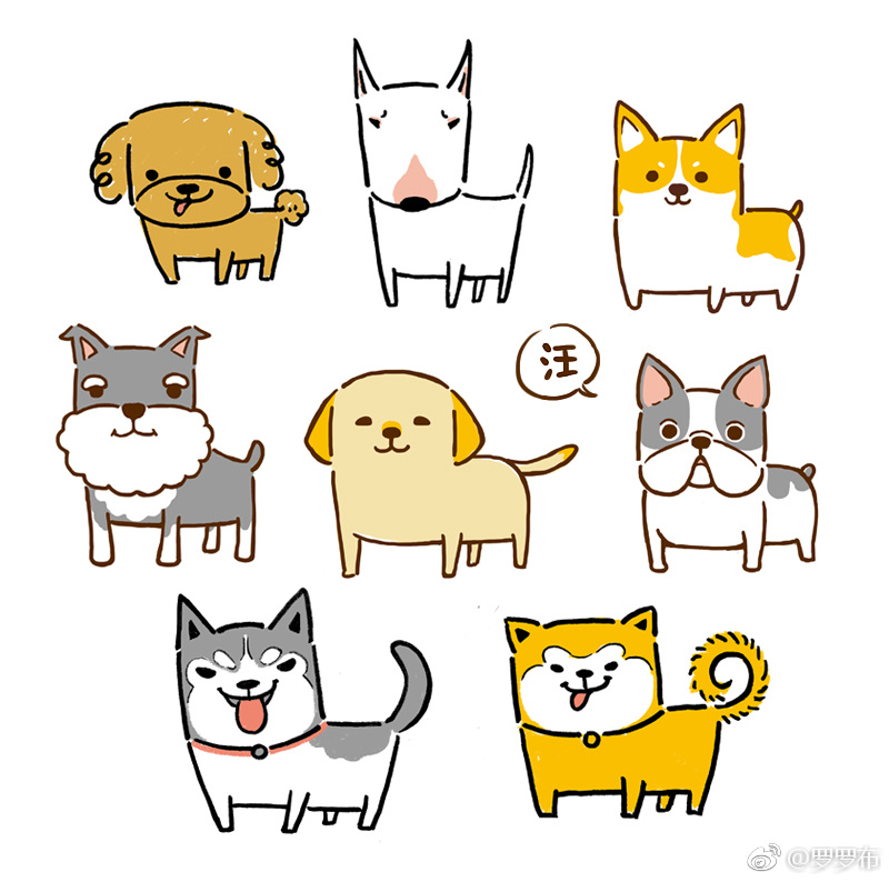 狗狗简笔画更新 合集(柯基,二哈,斗牛,秋田,牛头梗,泰迪,雪纳瑞