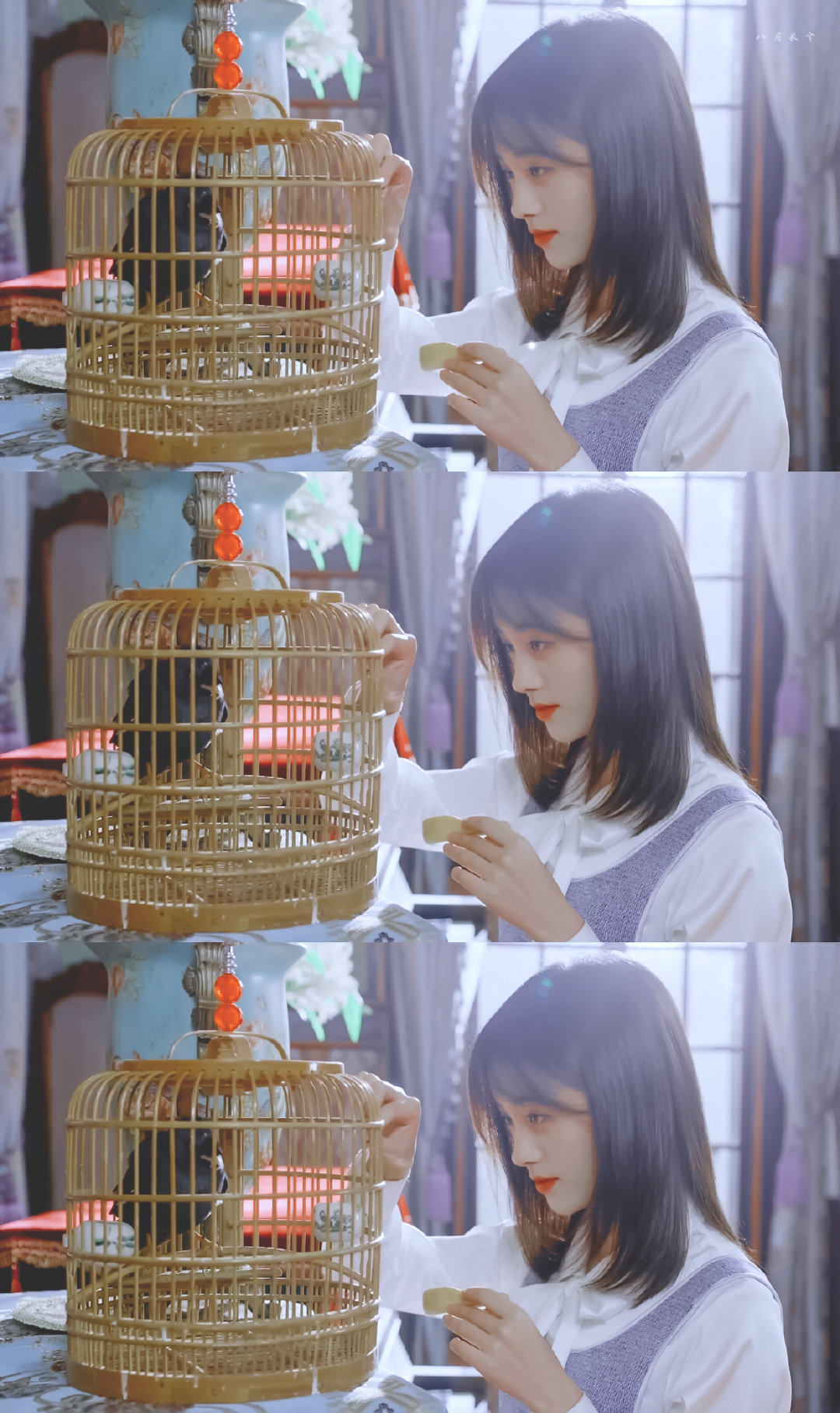 (鞠婧祎)林九歌.