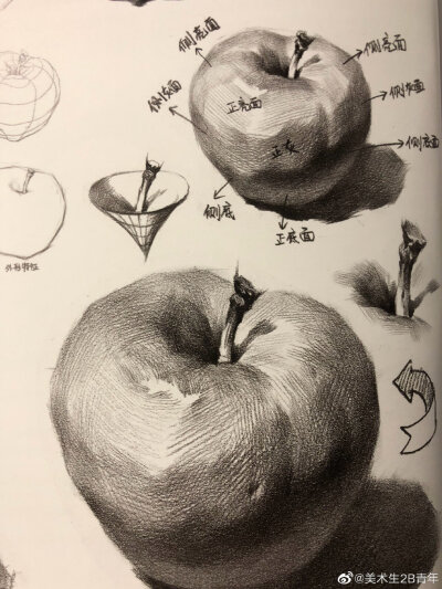 水果剖面图创意素描图片