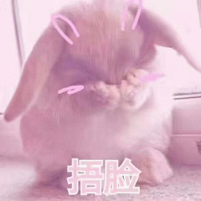 韩国兔兔表情包