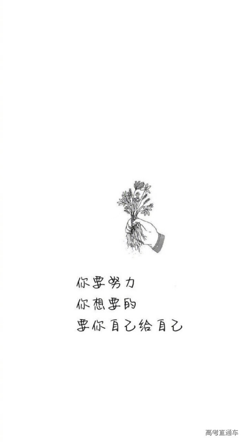 壁纸沉迷学习,无法自拔越努力越幸运