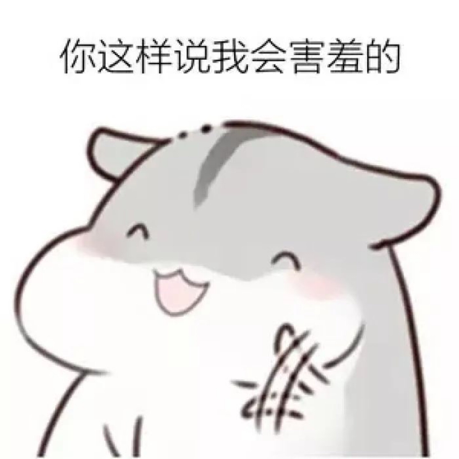 仓鼠表情包