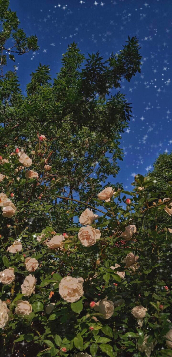 壁纸ins简约可爱天空动漫