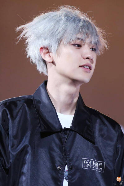 朴灿烈exo-sc银发