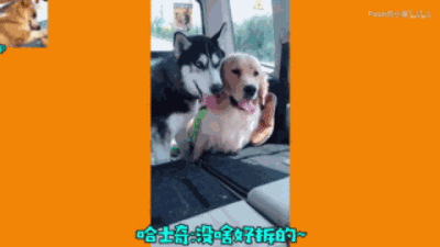 给老子滚表情